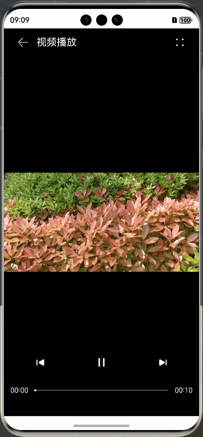 PixPin_2025-04-11_09-09-15