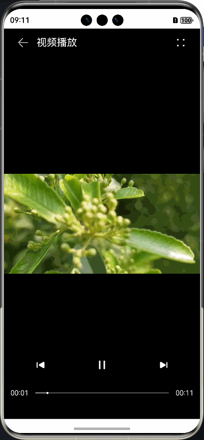 PixPin_2025-04-11_09-11-44