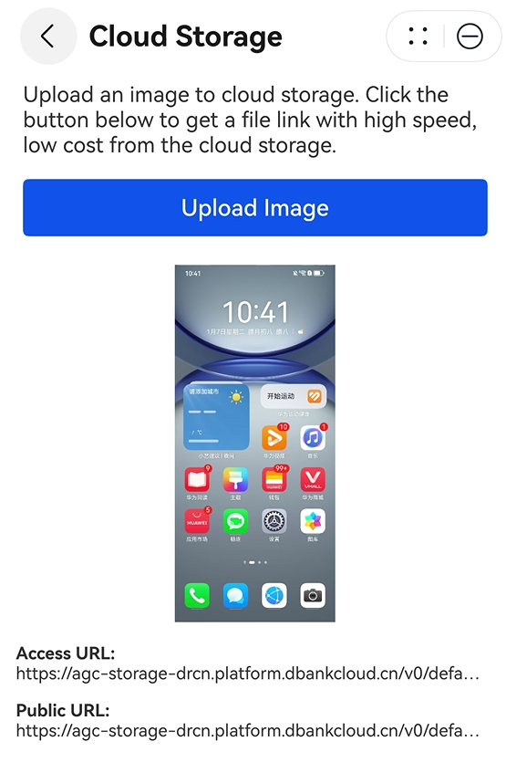 image-20250116095730657