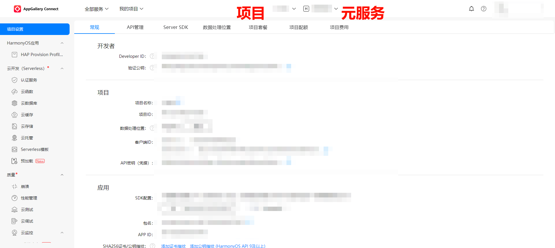 image-20250116100212297