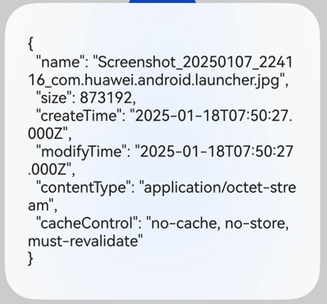 image-20250119001021913