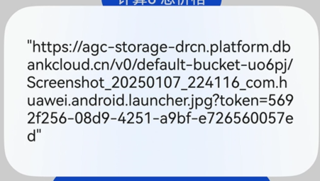 image-20250119021913620