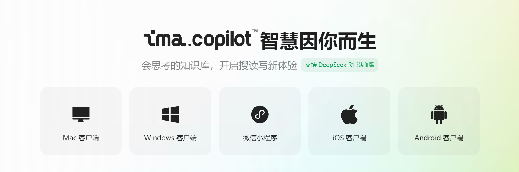 image-20250305105258530