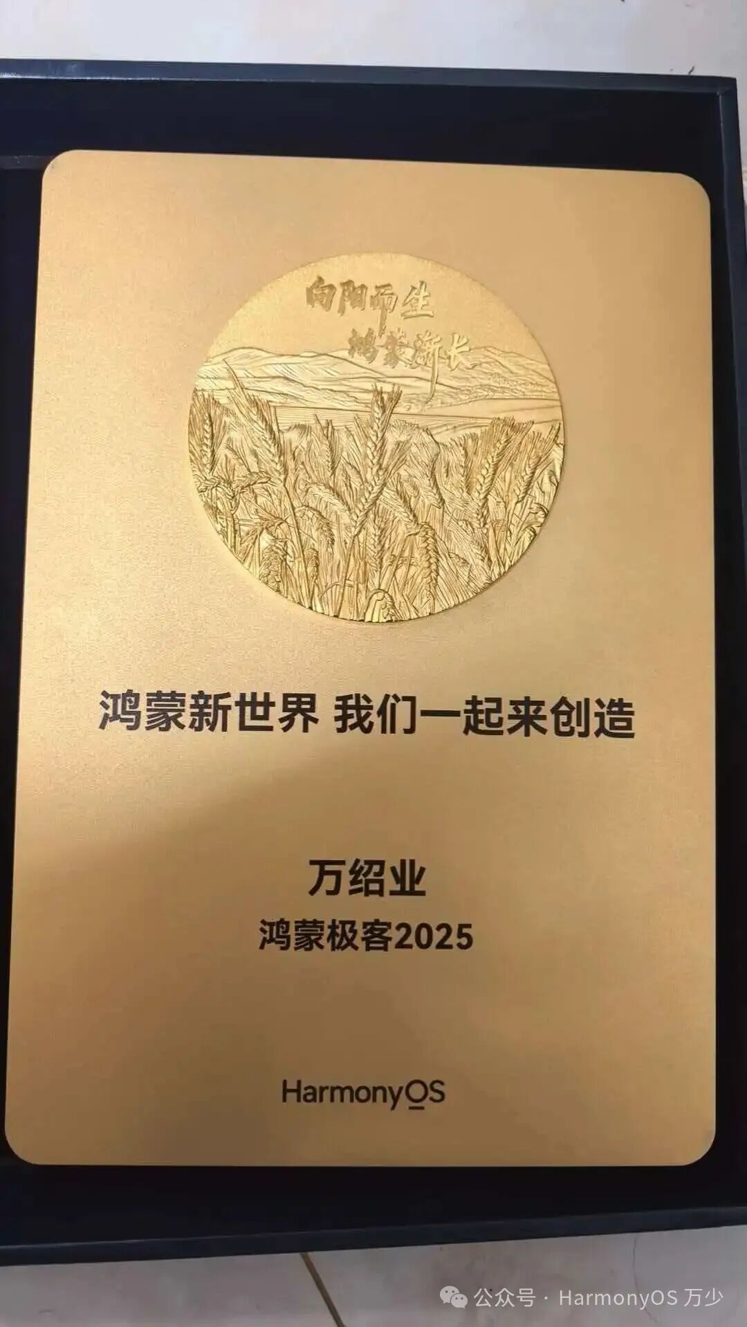 鸿蒙极客